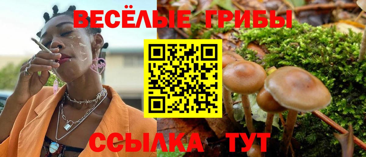 Барабинск  Псилоцибиновые грибы Magic Shrooms  Вход с VPN  Галлюциногенные грибы Psilocybine cubensis 